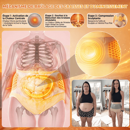 Boutique Officielle | 🍀🍀 𝐏𝐀𝐔𝐑𝐀𝐉𝐔® 2026 Short Sculptant & Brûle-Graisses 4-en-1 aux Micro-Particules de Moringa & Berbérine-XA