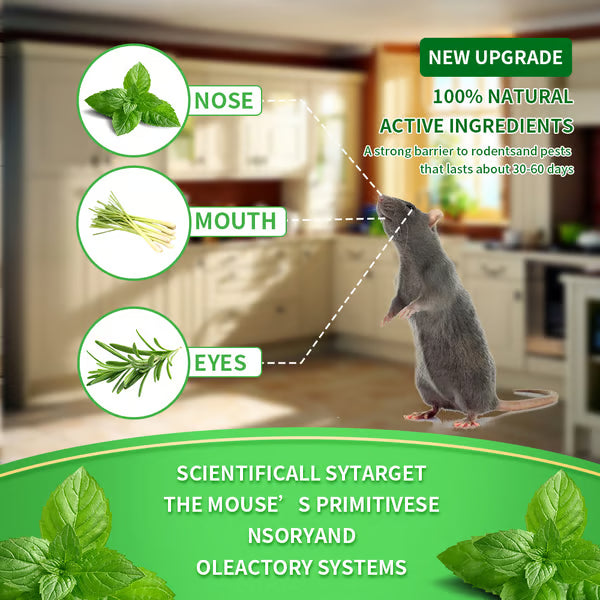 🔥12 - Pack Popular Natural Rodent Repellent Balls🐀 Infused with peppermint and lemon oil these balls effectively deter squirrels rats spiders and other pests-ABB8
