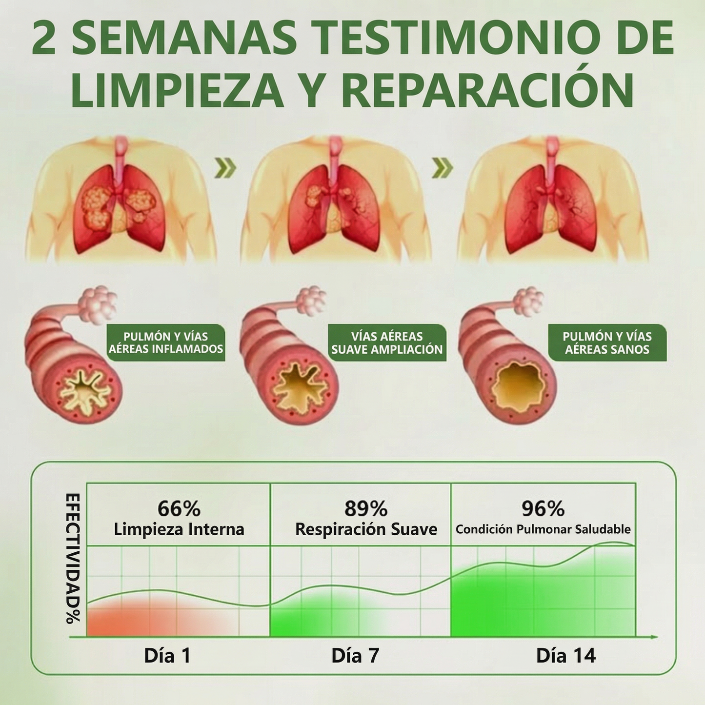 ❤️🎉Timilk®BOTÁNICO CUIDADO PULMONAR DIFUSOR DE GORDOLOBO-923