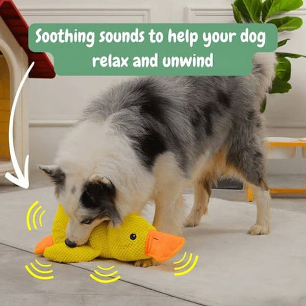 🦆Peluche calmante per cani con suono di starnazzamento – riduce l’ansia da separazione -923