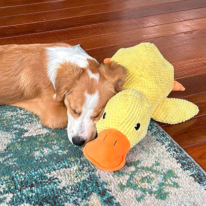 🦆Peluche calmante per cani con suono di starnazzamento – riduce l’ansia da separazione -923