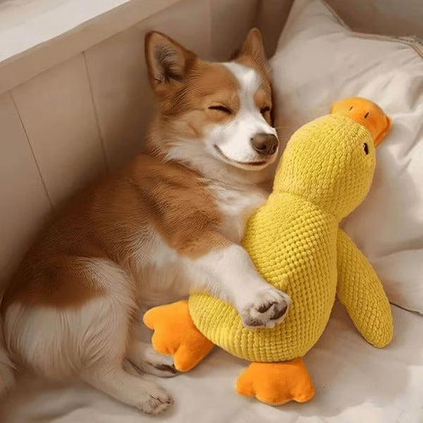 🦆Peluche calmante per cani con suono di starnazzamento – riduce l’ansia da separazione -923