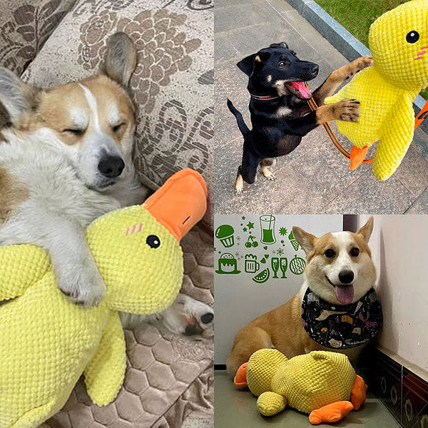 🦆Peluche calmante per cani con suono di starnazzamento – riduce l’ansia da separazione -923