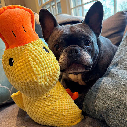 🦆Peluche calmante per cani con suono di starnazzamento – riduce l’ansia da separazione -923