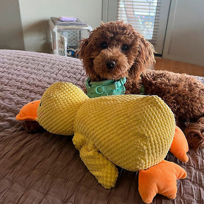 🦆Peluche calmante per cani con suono di starnazzamento – riduce l’ansia da separazione -923